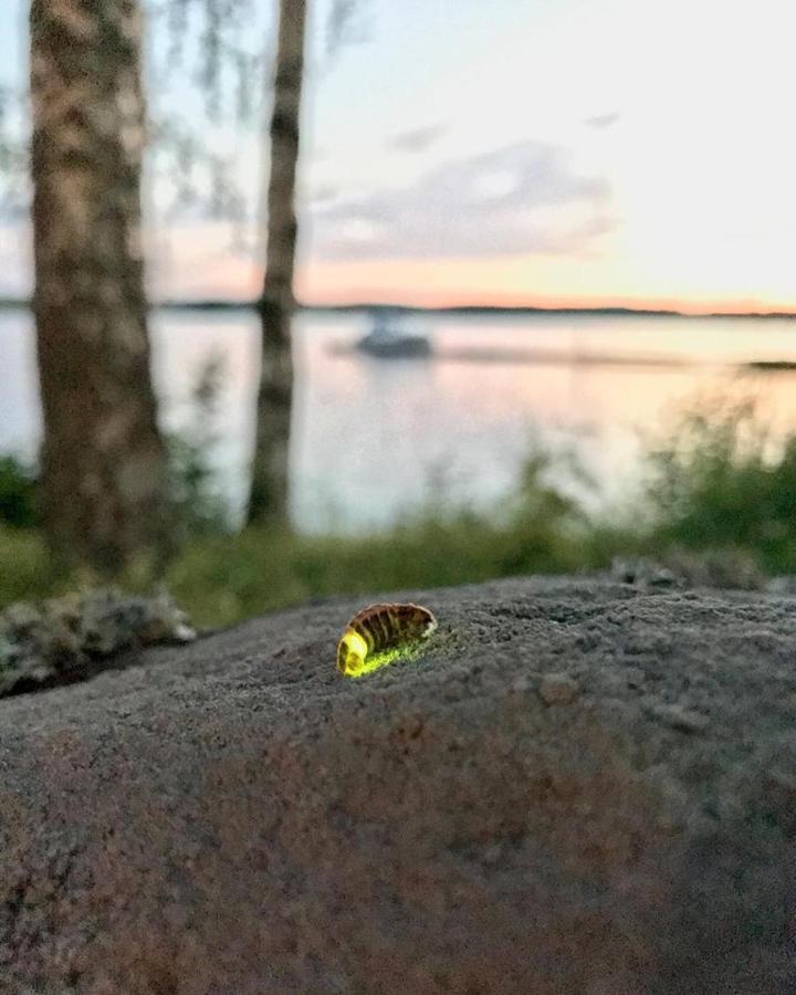 Koskenselkae Camping Puumala Bagian luar foto